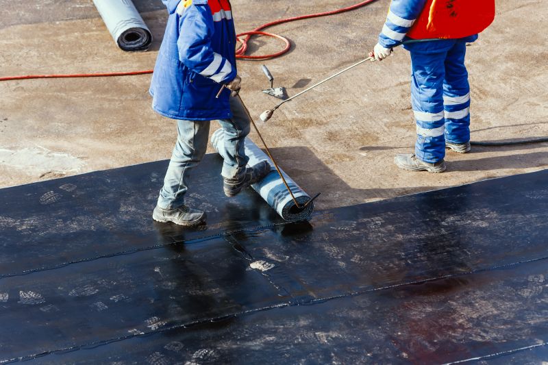 Tpo Roof Coating Service
